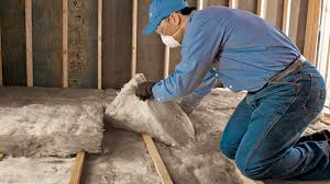 Best Attic Insulation Installation  in Trophy Clu, TX